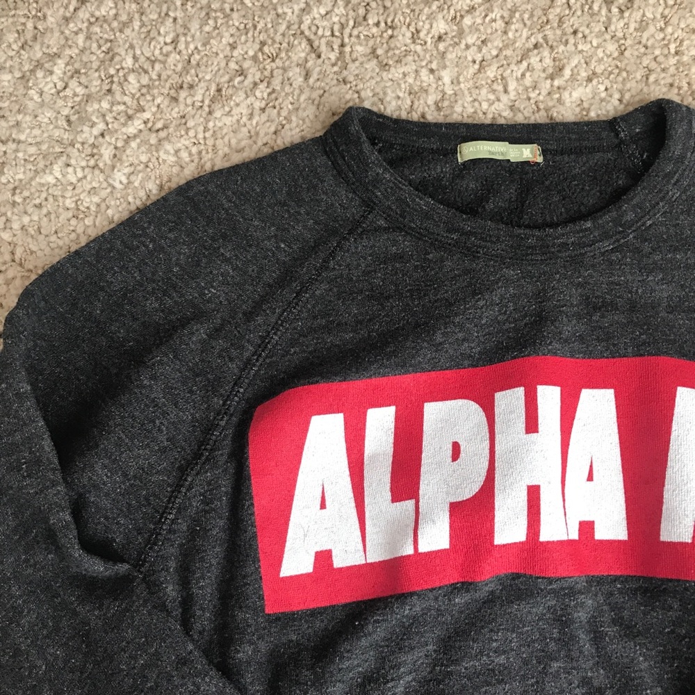 Alpha phi pullover - Picture 2 of 3